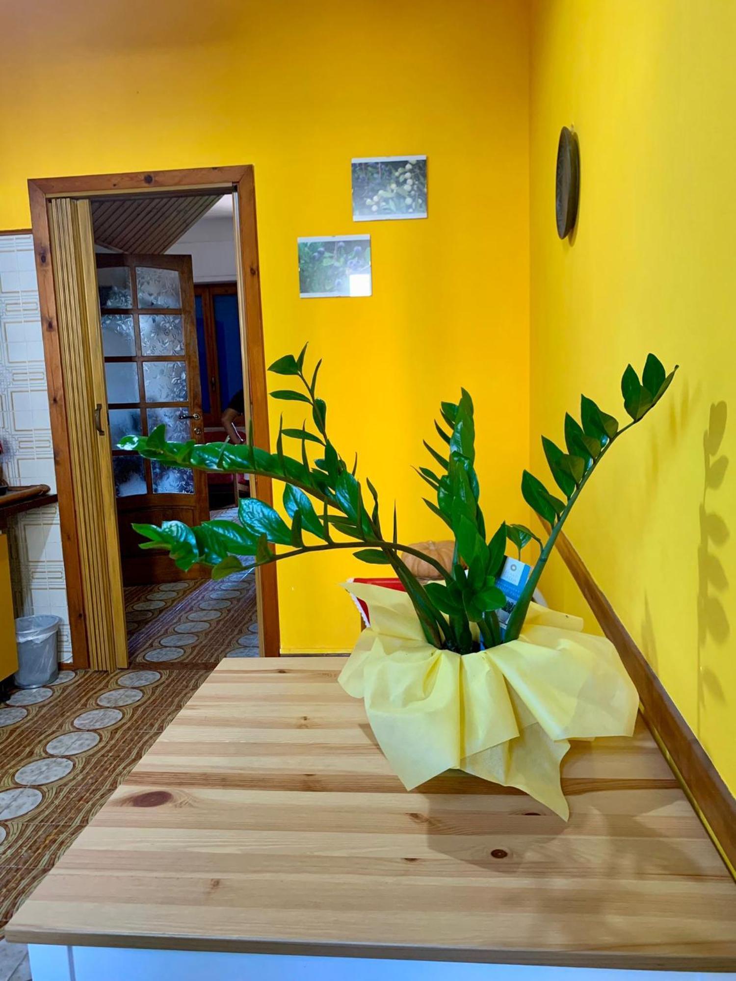 B & B Il Mirto 2 SantʼAntìoco 外观 照片